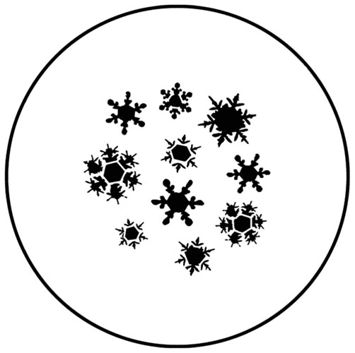 Snowflakes #5